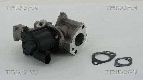 Triscan 8813 29312 - Клапан EGR Audi A4-A5-A7-Q7-VW Touareg 2.0-3.7TDI autozip.com.ua