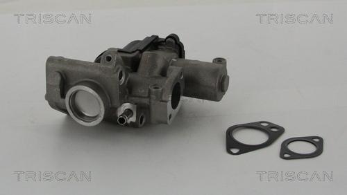 Triscan 8813 29312 - Клапан EGR Audi A4-A5-A7-Q7-VW Touareg 2.0-3.7TDI autozip.com.ua