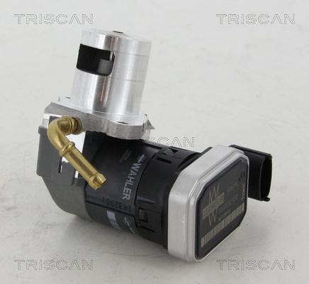 Triscan 8813 24046 - Клапан повернення ОГ autozip.com.ua