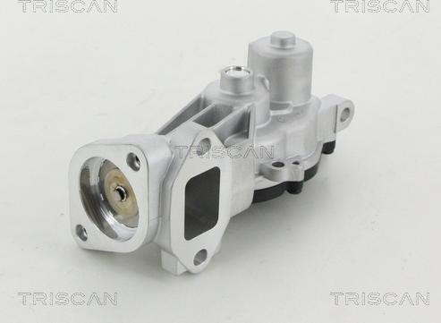 Triscan 8813 24040 - Клапан повернення ОГ autozip.com.ua