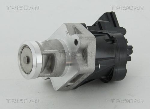 Triscan 8813 24083 - Клапан повернення ОГ autozip.com.ua