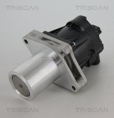 Triscan 8813 24205 - Клапан повернення ОГ autozip.com.ua