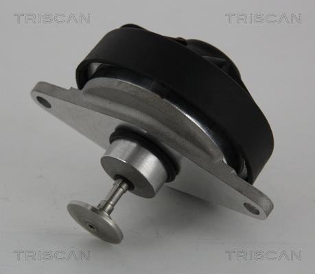 Triscan 8813 24202 - Клапан повернення ОГ autozip.com.ua