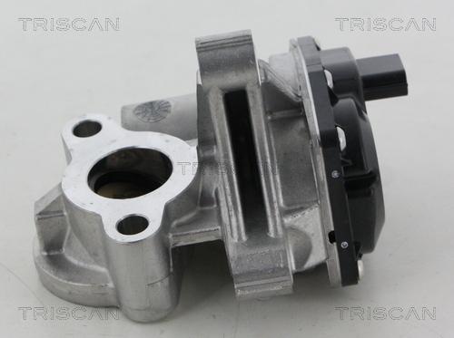 Triscan 8813 25041 - Клапан повернення ОГ autozip.com.ua