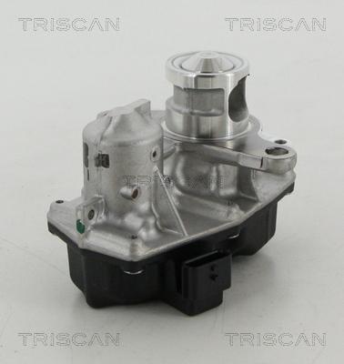 Triscan 8813 25042 - Клапан повернення ОГ autozip.com.ua