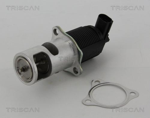 Triscan 8813 25005 - Клапан повернення ОГ autozip.com.ua