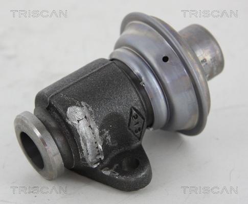 Triscan 8813 25006 - Клапан повернення ОГ autozip.com.ua