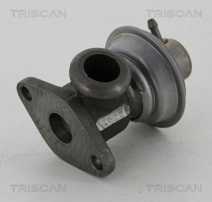 Triscan 8813 25011 - Клапан повернення ОГ autozip.com.ua
