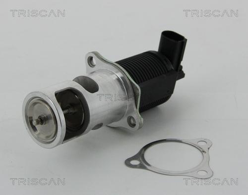 Triscan 8813 25038 - Клапан повернення ОГ autozip.com.ua