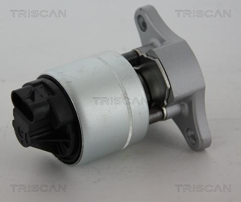 Triscan 8813 21006 - Клапан повернення ОГ autozip.com.ua