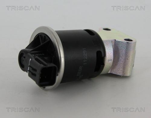 Triscan 8813 21008 - Клапан повернення ОГ autozip.com.ua