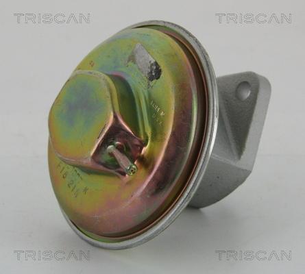 Triscan 8813 21007 - Клапан повернення ОГ autozip.com.ua