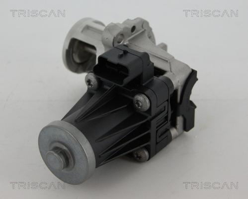 Triscan 8813 28005 - Клапан повернення ОГ autozip.com.ua