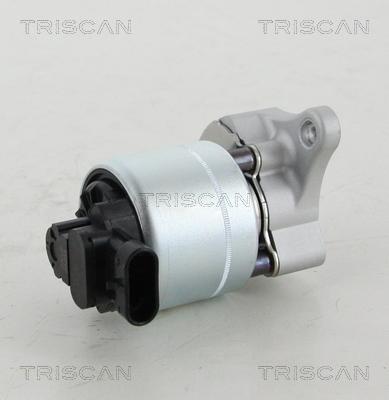 Triscan 8813 28008 - Клапан повернення ОГ autozip.com.ua