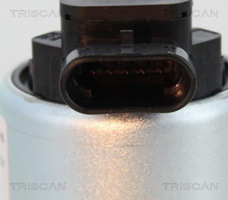 Triscan 8813 28008 - Клапан повернення ОГ autozip.com.ua
