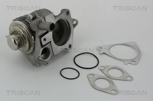 Triscan 8813 28019 - Клапан AGR Citroen Jumper-Fiat Ducato 3.0HDI 06- autozip.com.ua