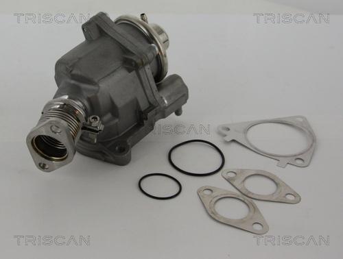 Triscan 8813 28019 - Клапан AGR Citroen Jumper-Fiat Ducato 3.0HDI 06- autozip.com.ua