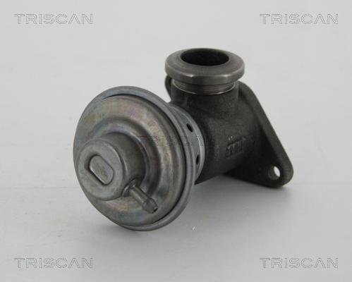 Triscan 8813 28014 - Клапан повернення ОГ autozip.com.ua