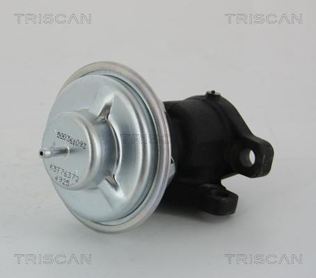 Triscan 8813 28011 - Клапан повернення ОГ autozip.com.ua