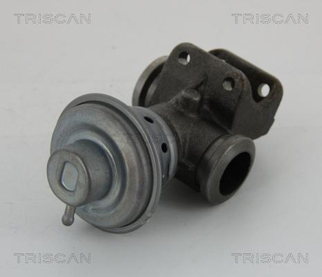 Triscan 8813 28013 - Клапан рецеркуляції відпрацьованих газів Citroen Jumper-Peugeot Boxer-Fiat Ducato 2.0 HDi 84KM 04.02- autozip.com.ua