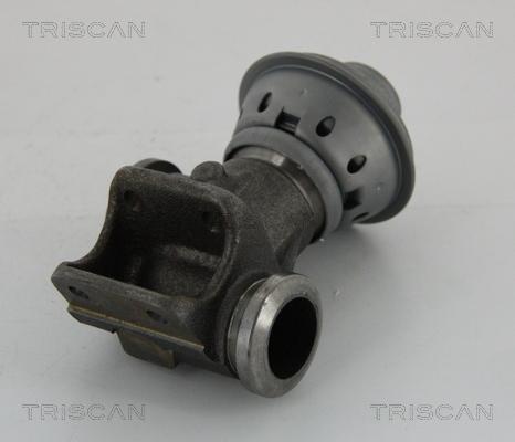 Triscan 8813 28013 - Клапан рецеркуляції відпрацьованих газів Citroen Jumper-Peugeot Boxer-Fiat Ducato 2.0 HDi 84KM 04.02- autozip.com.ua