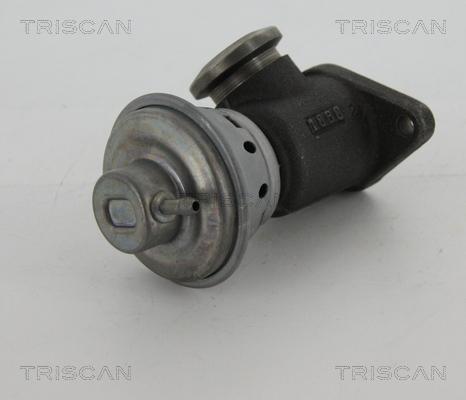Triscan 8813 28022 - Клапан повернення ОГ autozip.com.ua