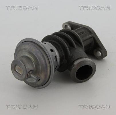 Triscan 8813 28100 - Клапан повернення ОГ autozip.com.ua