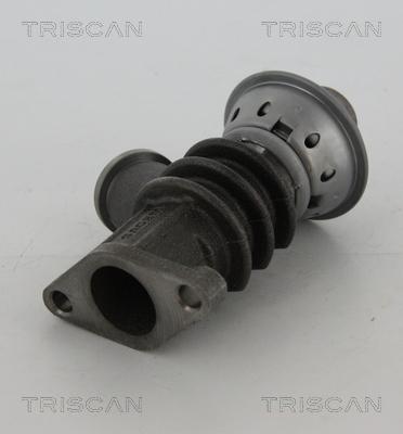 Triscan 8813 28100 - Клапан повернення ОГ autozip.com.ua