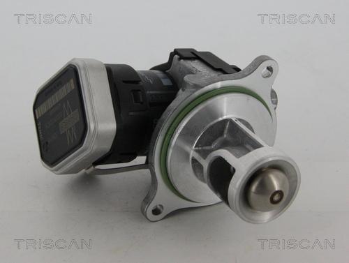 Triscan 8813 23004 - Клапан повернення ОГ autozip.com.ua
