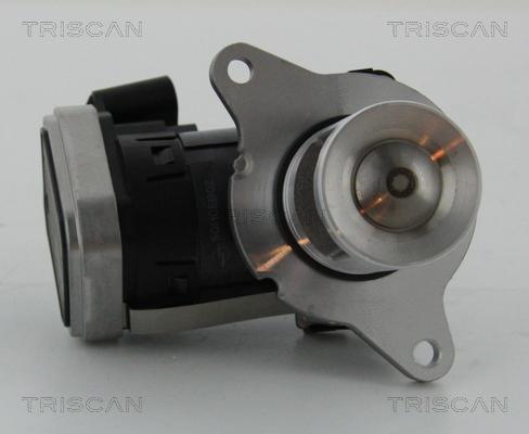 Triscan 8813 23006 - Клапан повернення ОГ autozip.com.ua