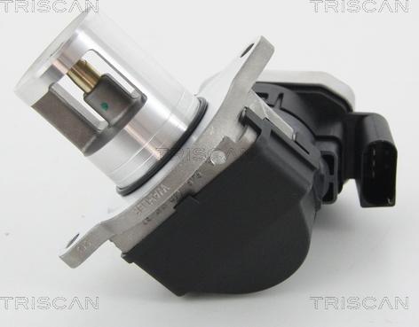 Triscan 8813 23007 - Клапан повернення ОГ autozip.com.ua