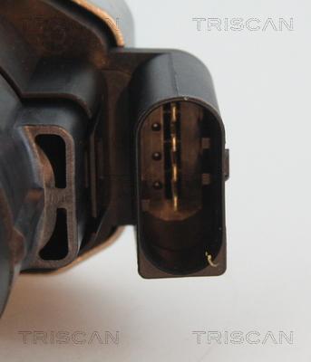 Triscan 8813 23007 - Клапан повернення ОГ autozip.com.ua