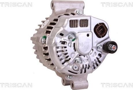 Triscan 8310 25005 - Генератор autozip.com.ua