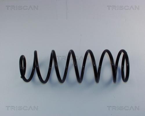 Triscan 8750 1650 - Пружина ходової частини autozip.com.ua
