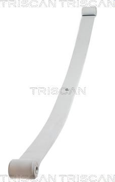 Triscan 8765 10004 - Багатолистові ресора autozip.com.ua