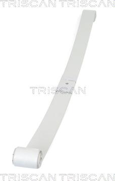 Triscan 8765 10008 - Багатолистові ресора autozip.com.ua