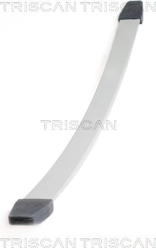 Triscan 8765 10003 - Багатолистові ресора autozip.com.ua