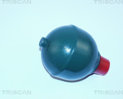 Triscan 8760 38110 - Гидроаккумулятор, підвіска / амортизація autozip.com.ua