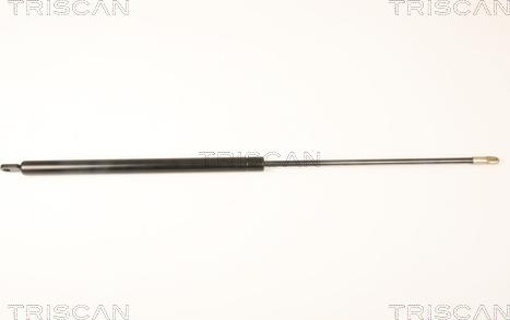 Triscan 8710 9005 - Газова пружина, фронтальна кришка autozip.com.ua