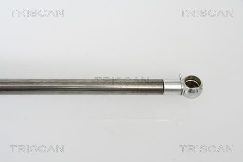 Triscan 8710 43213 - Газова пружина, кришка багажник autozip.com.ua