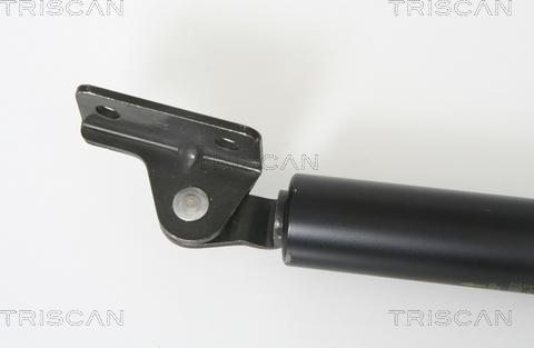 Triscan 8710 43213 - Газова пружина, кришка багажник autozip.com.ua