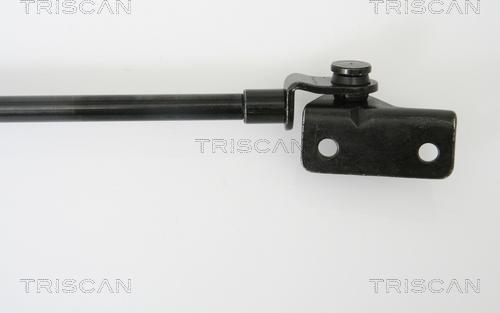 Triscan 8710 42231 - Газова пружина, кришка багажник autozip.com.ua