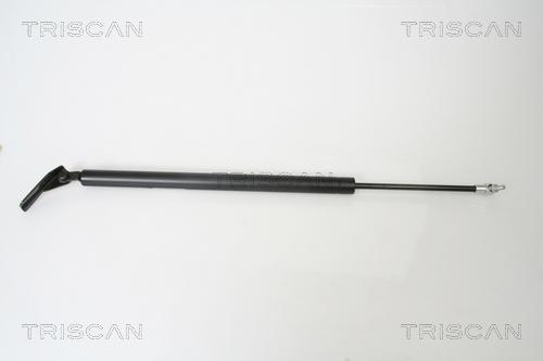 Triscan 8710 42238 - Газова пружина, кришка багажник autozip.com.ua