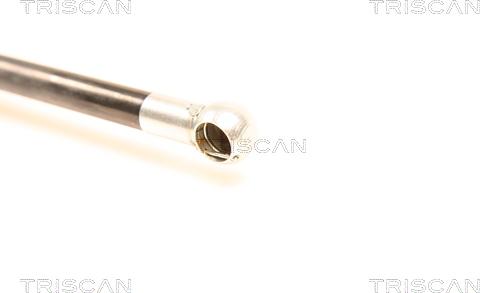 Triscan 8710 50231 - Газова пружина, кришка багажник autozip.com.ua