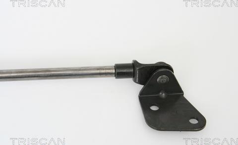 Triscan 8710 69216 - Газова пружина, кришка багажник autozip.com.ua