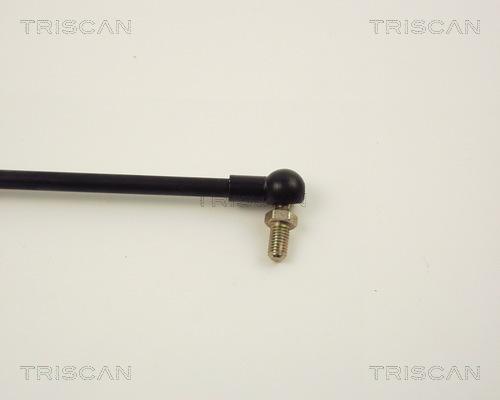 Triscan 8710 14101 - Газова пружина, капот autozip.com.ua