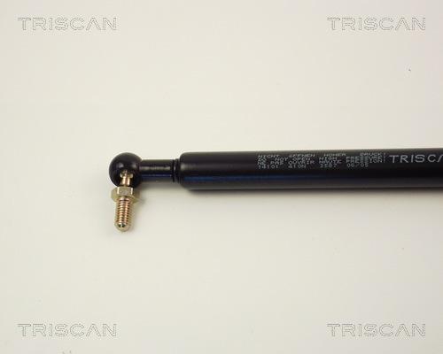 Triscan 8710 14101 - Газова пружина, капот autozip.com.ua