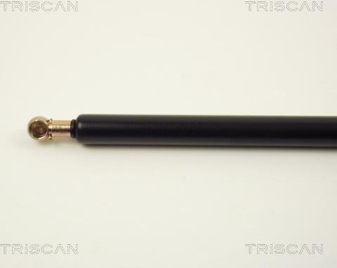 Triscan 8710 1513 - Газова пружина, кришка багажник autozip.com.ua