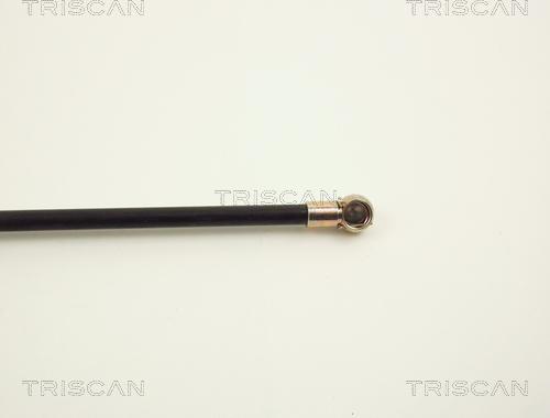Triscan 8710 1513 - Газова пружина, кришка багажник autozip.com.ua