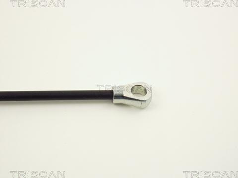 Triscan 8710 1601 - Газова пружина, кришка багажник autozip.com.ua